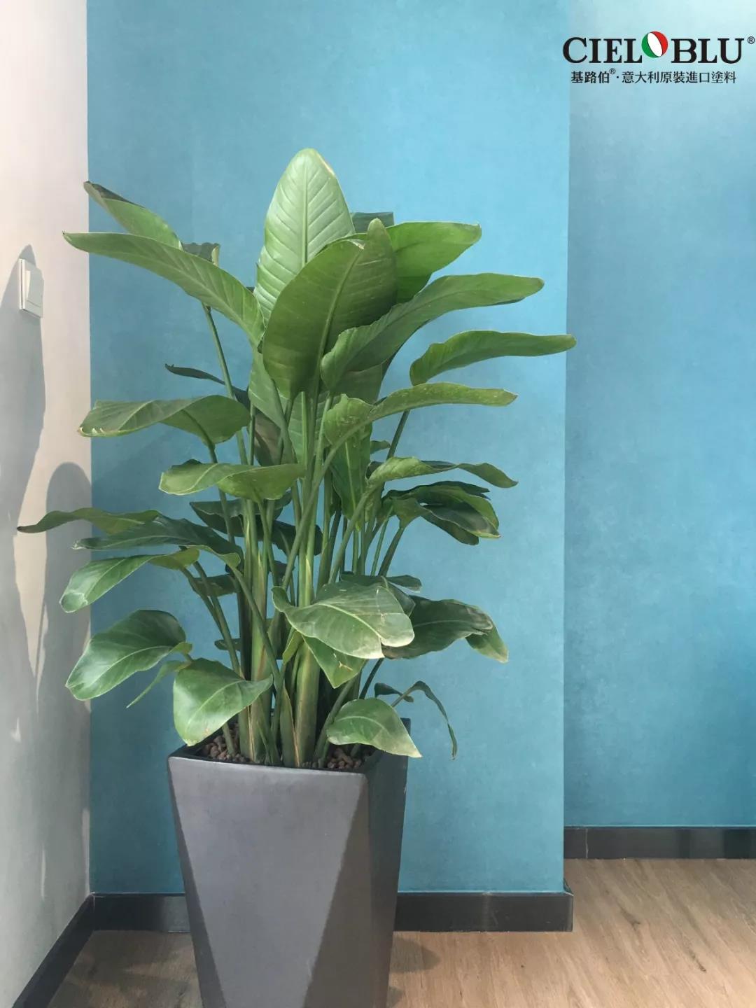 CIELOBLU基路伯佛山運(yùn)營中心牽手品牌一周年，涂裝體驗(yàn)再升級(jí)！(圖18)