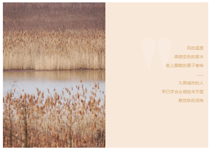 CIELOBLU | 基路伯「奶咖色」，為生活注入一份甜(圖1)